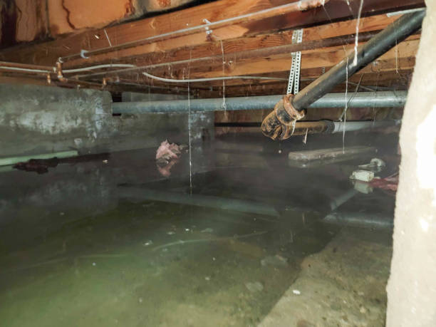Local water damage restoration in Chadron, NE