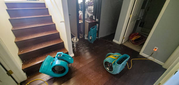 Best Emergency water damage restoration  in Chadron, NE