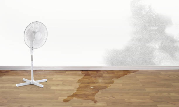 Best Residential water damage restoration  in Chadron, NE