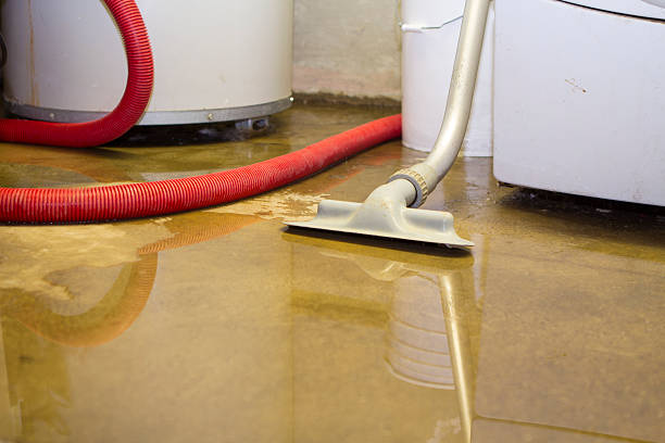 Best Flood restoration services  in Chadron, NE