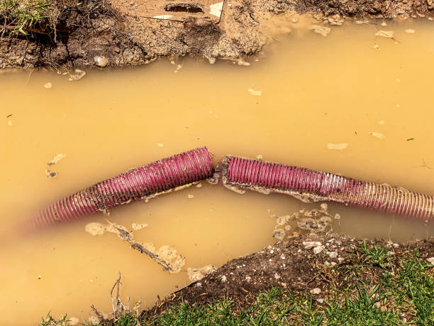 Best Commercial water damage restoration  in Chadron, NE