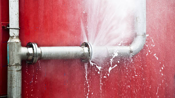 Best Basement water damage restoration  in Chadron, NE